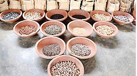 சென்னையில் வேர்கள், கிழங்குகள் திருவிழா