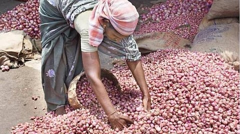 சின்ன வெங்காயம் விலை சரிவால் உணவகங்களில் தாராள பயன்பாடு: வாடிக்கையாளர்கள் உற்சாகம்