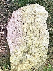 திருப்பத்தூர் அருகே சுமார் 3 ஆயிரம் ஆண்டுகளுக்கு முந்தைய கற்திட்டைகள் மற்றும் சோழர்கால ‘சாசனக்கல்’ கண்டுடெடுக்கப்பட்டுள்ளன.