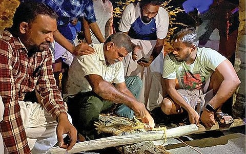 காட்டுமன்னார்கோவில் அருகே லால்பேட்டையில் பொதுமக்கள் உதவியுடன் வனத்துறையினர் முதலையை பிடித்தனர்.