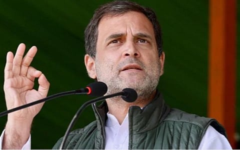 40 லட்சம் இந்தியர்கள் கரோனா தொற்றால் உயிரிழப்பு: ராகுல் காந்தி குற்றச்சாட்டு