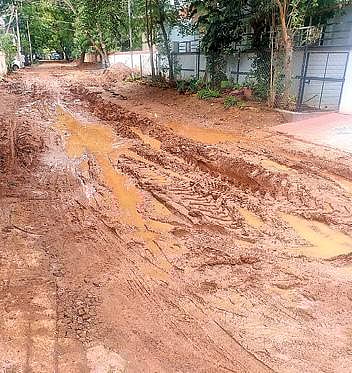 தபால் தந்தி நகர் மீனாட்சி நகரில் பெரும்பாலான தெருக்களின் நிலை சேறும், சகதியுமாக இப்படித்தான் உள்ளது.