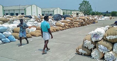 மூலனூர் ஒழுங்குமுறை விற்பனைக் கூடத்தில் களத்தில் குவித்து வைக்கப்பட்டுள்ள பஞ்சு: மழையில் நனையும் என பருத்தி விவசாயிகள் கவலை