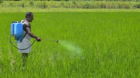 உர மானியம் ரூ.1.65 லட்சம் கோடியை எட்டும்