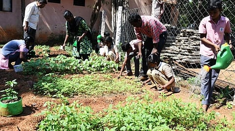 25 பசுமைப் பள்ளிகள், மஞ்சப்பை விருதுகள்... - தமிழக சுற்றுச்சூழல் துறையின் 7 முக்கிய அறிவிப்புகள்