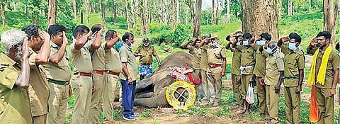 கோழிகமுத்தி யானைகள் முகாமில் உயிரிழந்த விஜயலட்சுமி யானைக்கு அஞ்சலி செலுத்திய வனத்துறையினர்.