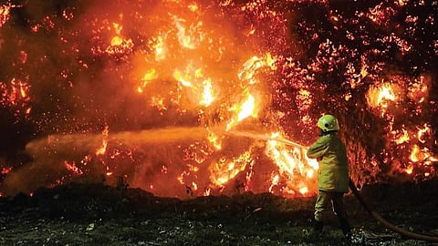 பெருங்குடி எனும் சூழலியல் ‘கண்ணிவெடி’
