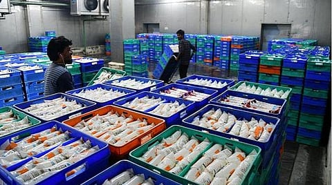 ஆவினில் இயந்திர கோளாறு 4 நாட்கள் ஆகியும் சரிசெய்யப்படவில்லை: குமரியில் தினசரி 10,000 லிட்டர் பால் தட்டுப்பாடு