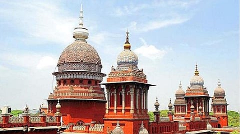 அந்நிய மரங்களை அகற்ற தேசிய ஊரக வேலை உறுதித் திட்ட நிதியை பயன்படுத்த சென்னை உயர் நீதிமன்றம் உத்தரவு