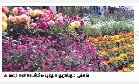 மூணாறில் இன்று முதல் மலர் கண்காட்சி தொடக்கம்: மே 10 வரை நடைபெறுகிறது