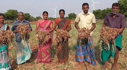 பழநி அருகே பனம்பட்டி கிராமத்தில் வெங்காயம் பயிரிட்ட விளைநிலத்தில் விவசாயி சிவராஜ்(வலமிருந்து இரண்டாவது) மற்றும் குடும்பத்தினர்.