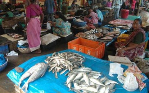 மீன்பிடி தடை காரணமாக தமிழகத்தில் மீன்கள் விலை உயர்வு