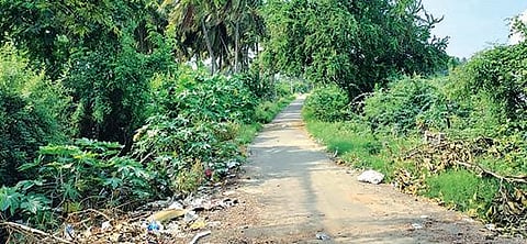 உடுமலை அருகே மயானத்துக்கு செல்லும் பாதையில் தெருவிளக்கு கோரி 50 ஆண்டுகளாக போராடும் மக்கள்