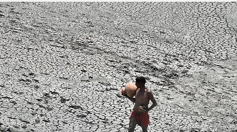 வெப்ப அலை | இந்தியாவில் 5 ஆண்டுகளில் 1,743 பேர் மரணம்: உலக வானிலை ஆய்வு நிறுவன தரவுகளும் எச்சரிக்கையும்