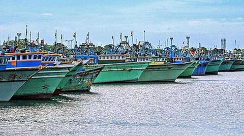 மீன்பிடி தடைக்காலத்தில் பாலை மீன் வணிகத்தைத் தடுக்கவும்: மக்கள் நீதி மய்யம்