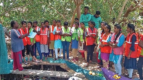 சுற்றுச்சூழலை அறியும் முயற்சியாக அரியாங்குப்பம் அருகில் மாங்குரோவ் காடுகளிடையே சூழல் பயணம் மேற்கொண்ட கஸ்தூரி பாய் அரசு மகளிர் கல்லூரி மாணவிகள்.