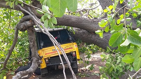 திருநெல்வேலி சாலை விரிவாக்க பணி: மரம் விழுந்ததில் இருவர் பலி