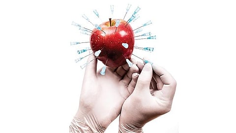 பழங்களின் மூலம் ஒரு வேதித் தாக்குதல்