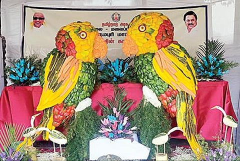 கோத்தகிரியில் நேற்று தொடங்கிய காய்கறி கண்காட்சியில் சுற்றுலா பயணிகள் மற்றும் பொதுமக்களை வெகுவாக கவர்ந்த பல்வேறு காய்கறிகளால் அலங்கரிக்கப்பட்டிருந்த ஒட்டகச்சிவிங்கி, கிடார், கிளி உருவங்கள்.