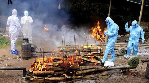 இந்தியாவில் கரோனாவால் 5.24 லட்சம் பேர் உயிரிழந்துள்ளனர் - உலக சுகாதார நிறுவன குளறுபடிகள் ஆதாரங்களுடன் நிரூபணம்