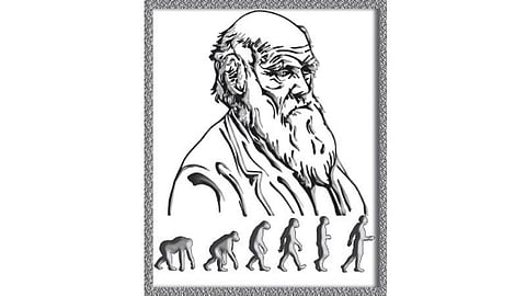 ஓவியம்: லலிதா