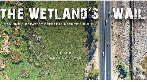 ஒரு சதுப்புநிலத்தின் ஓலம்