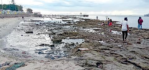 ராமேசுவரம் அக்னி தீர்த்தக் கடற்கரையில் கடல் உள்வாங்கியதால் தென்பட்ட பவளப் பாறைகள்.