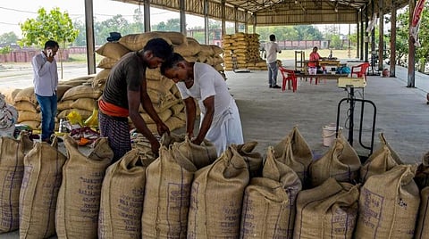 காலநிலை மாற்றம் | 2030-க்குள் 9 கோடி இந்தியர்கள் பட்டினியால் வாடும் அபாயம்: ஓர் ஆய்வும் எச்சரிக்கையும்