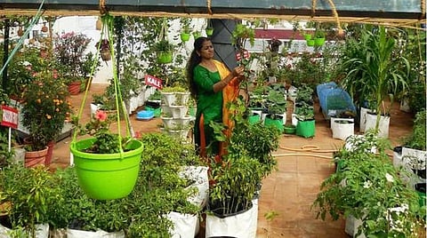 வீட்டுத் தோட்டம், சிறுதானிய உணவு: வேளாண் பல்கலைக்கழக மையம் பயிற்சி வகுப்புகள் அறிவிப்பு