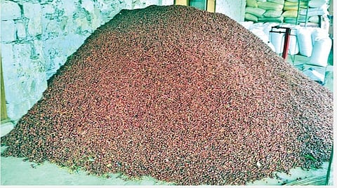 இலங்கைக்கு ஏற்றுமதி செய்ய முடியாததால் விளாத்திகுளம் பகுதியில் மிளகாய் வத்தல் தேக்கம்