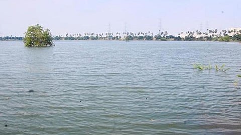 தாழம்பூர் ஏரியில் கொட்டப்படும் குப்பையால் சுற்றுச்சூழல் பாதிப்பு