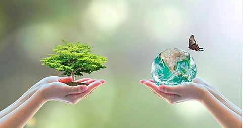 உங்கள் பைக் சொல்லித் தரும் ‘பல்லுயிர் பெருக்கம்’!