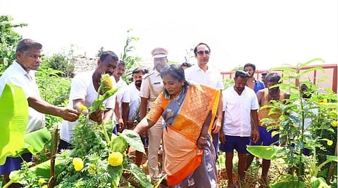 “ஊக்கப்படுத்த வந்த நான், ஊக்கம் பெற்றேன்” - சிறைக் கைதிகளின் சாகுபடியை கண்டு வியந்த ஆளுநர் தமிழிசை