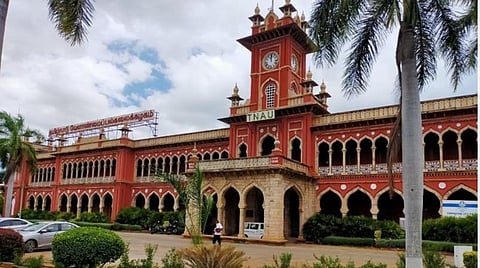 ஜூன் முதல் ஆக. வரை மக்காச்சோளம் விலை குவிண்டாலுக்கு ரூ.2,500 வரை இருக்கும்: வேளாண் பல்கலை. கணிப்பு