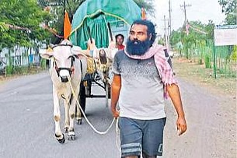 தங்கைக்காக நீதி கேட்டு ஆந்திராவில் இருந்து மாட்டு வண்டியில் டெல்லிக்கு புறப்பட்ட அண்ணன் - உச்ச நீதிமன்றத்தில் வழக்கு தொடர முடிவு