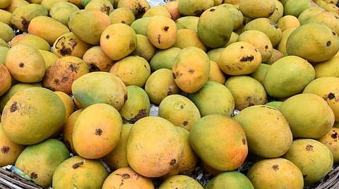 பிரதிநிதித்துவப் படம்.