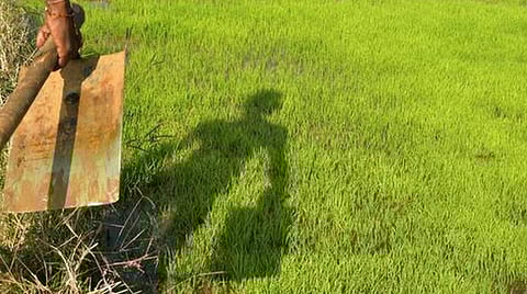 ஒருங்கிணைந்த வேளாண் வளர்ச்சி: அரசின் பெரும் பொறுப்பு!