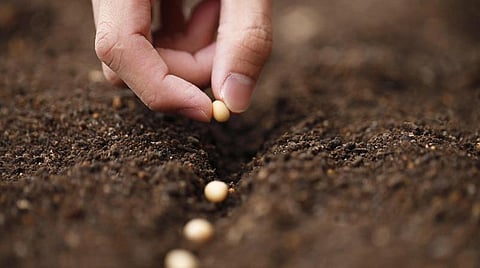 செடி வளர்க்க உதவும் எளிய வழிகள்