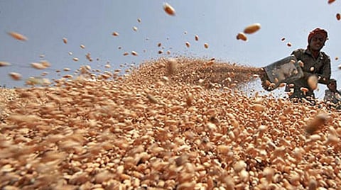 வருகிறது உணவு நெருக்கடி?- உக்ரைனில் கோதுமை உற்பத்தி 40% வீழ்ச்சி: தவிப்பில் உலக நாடுகள்