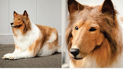 பைரவரான இளைஞர்!