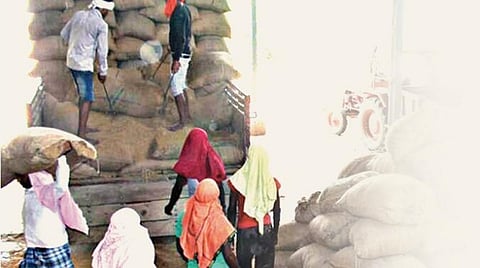 தமிழகத்தில் சந்தை ஒப்பந்த சாகுபடி சட்டம் கொண்டு வரப்படுமா?