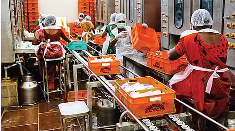 துறைமுகம்: பணிகள் பல தரும் பால் வளம்!