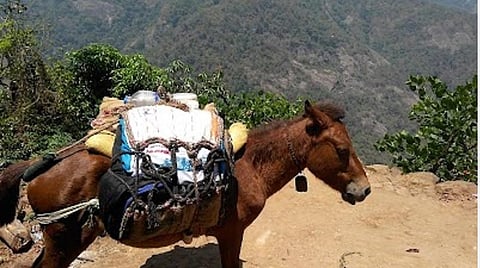 தேனியில் குடியேறிய த்ரிஷா!