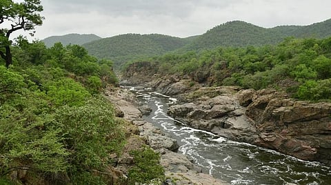 மேகேதாட்டு வரைவு திட்ட அறிக்கையை நிராகரிக்க வேண்டும் - டெல்லியில் தமிழக விவசாயிகள் போராட்டம்