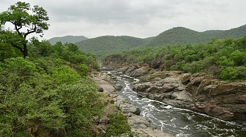 மேகதாது பகுதி | கோப்புப் படம்
