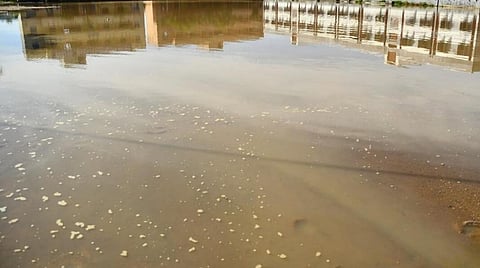 சென்னையில் கனமழை - 5 இடங்களில் தண்ணீர் தேக்கம்; 10 மரங்கள் விழுந்தன