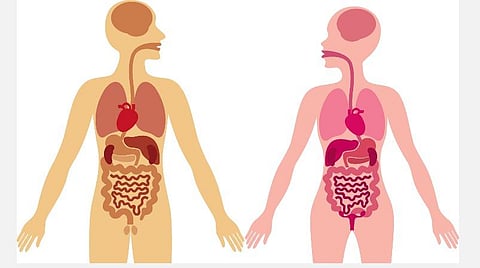 டி.என்.பி.எஸ்.சி. குரூப் 4 பயிற்சி வினா விடை தொகுப்பு - பகுதி 24