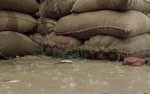 செய்யூர் வெடால் அரசு நேரடி கொள்முதல் நிலையத்தில் மழையில் நனைந்து நெல் மூட்டைகள் சேதமடைந்த விவகாரம்: 2 பேர் சஸ்பெண்ட்