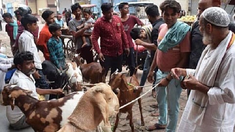 ஒரு ஆட்டின் விலை ரூ.1.05 லட்சம்: ஆக்ரா சந்தையில் களைகட்டிய பக்ரீத் குர்பானி ஆடு விற்பனை