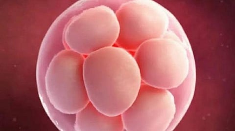 கருமுட்டை விற்பனை செய்த விவகாரம்: சிறையில் சிறுமியின் தாய் உள்ளிட்ட 4 பேரிடம் மருத்துவக் குழு விசாரணை